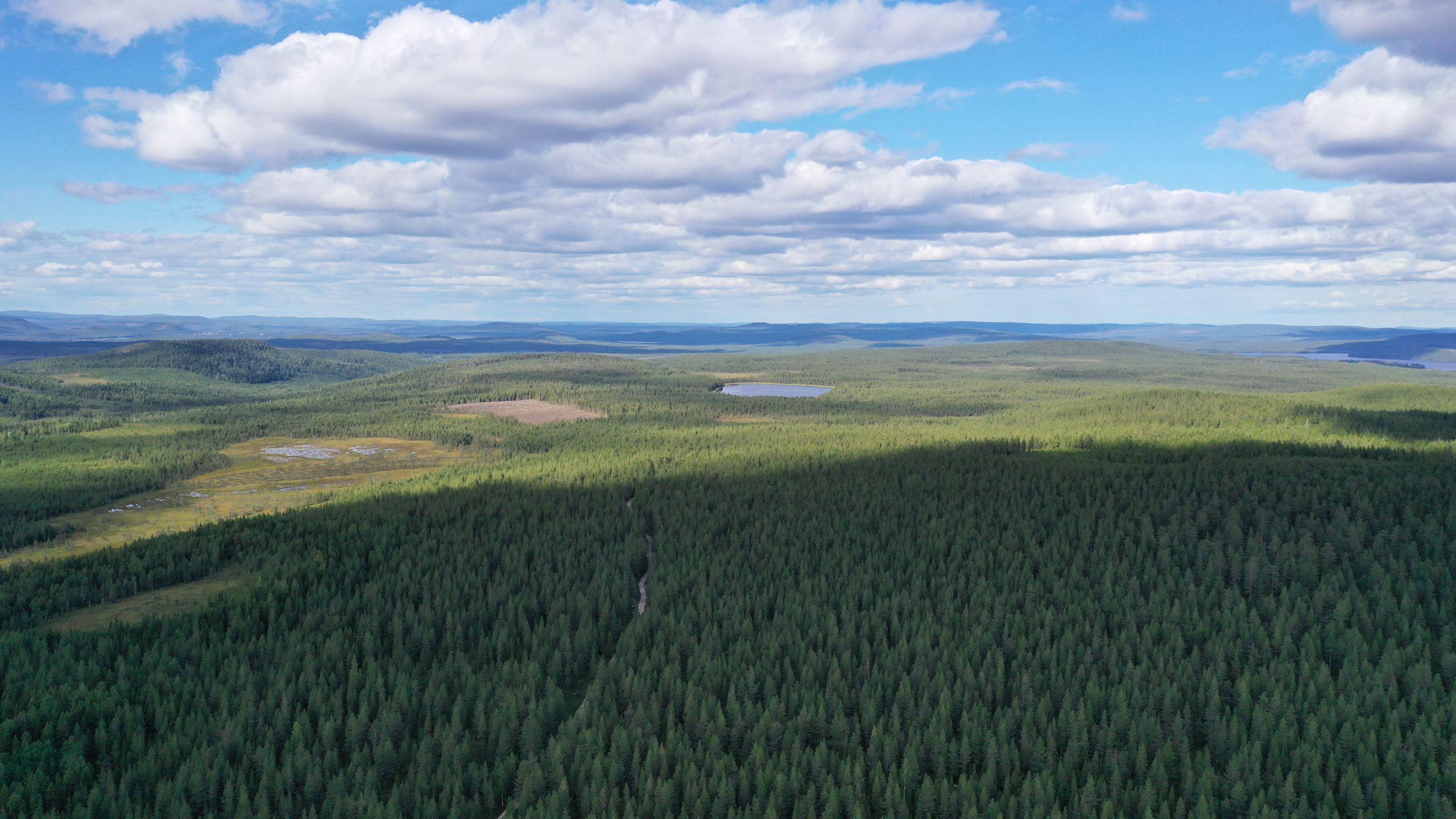 Tietoja hankkeesta