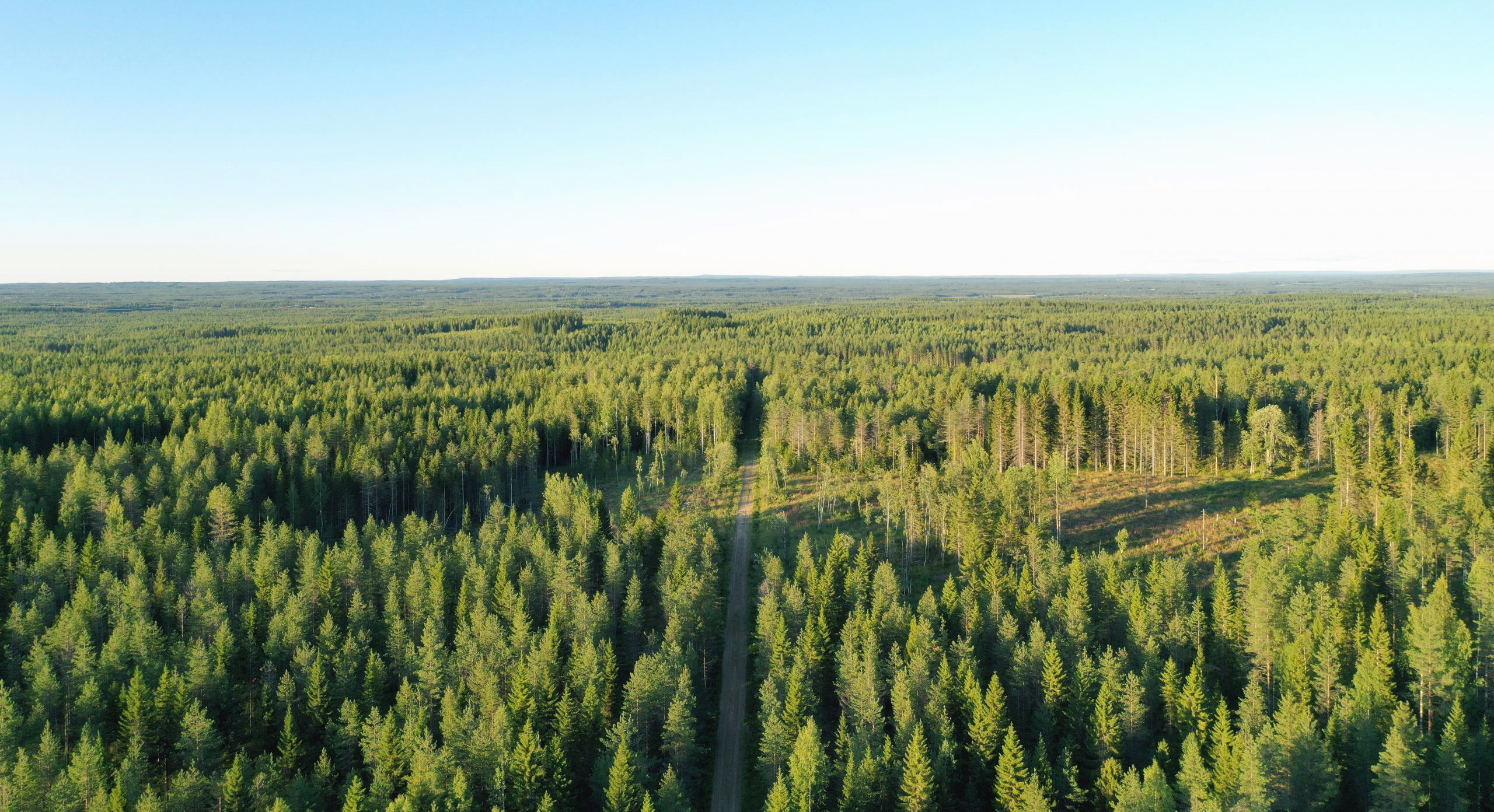 Tietoja hankkeesta