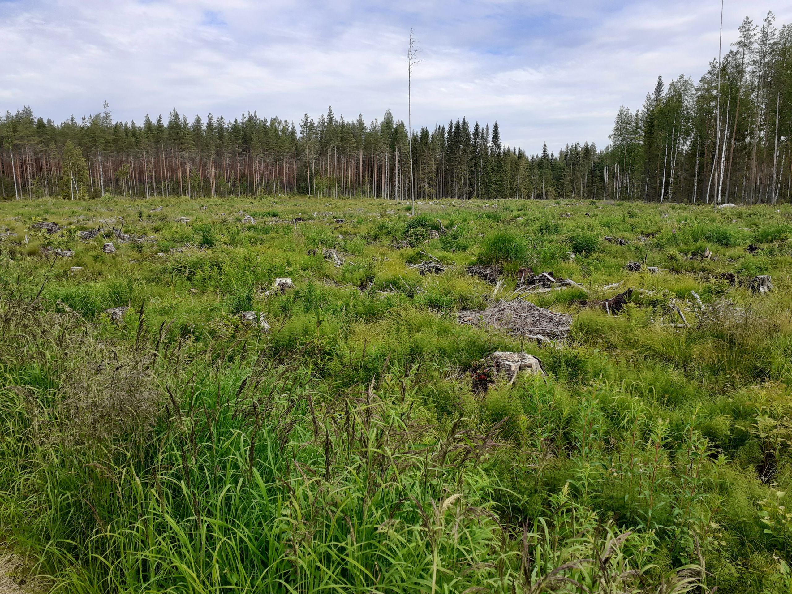 Tietoja hankkeesta
