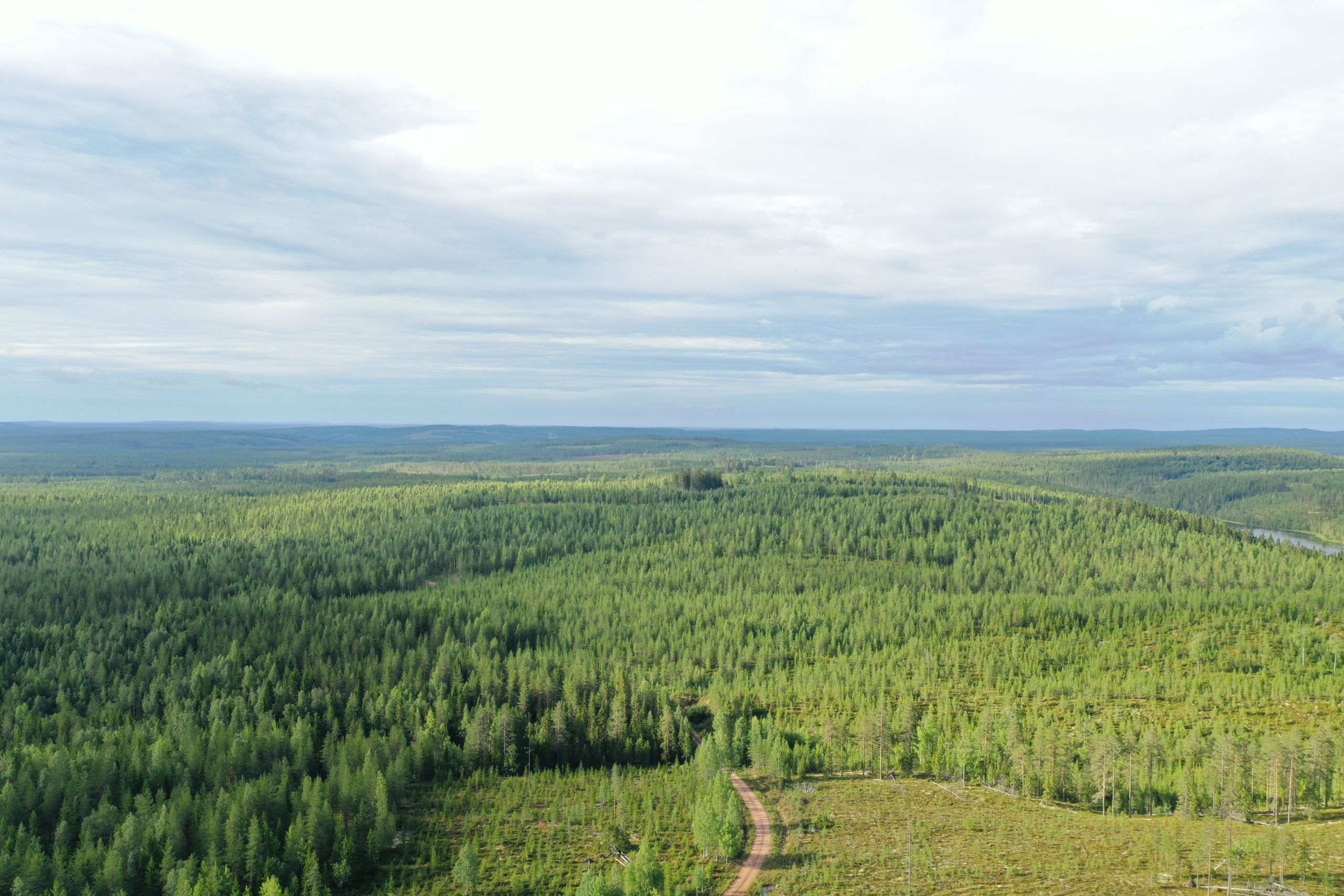 Tietoja hankkeesta